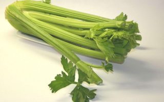 řapíkatý celer recepty